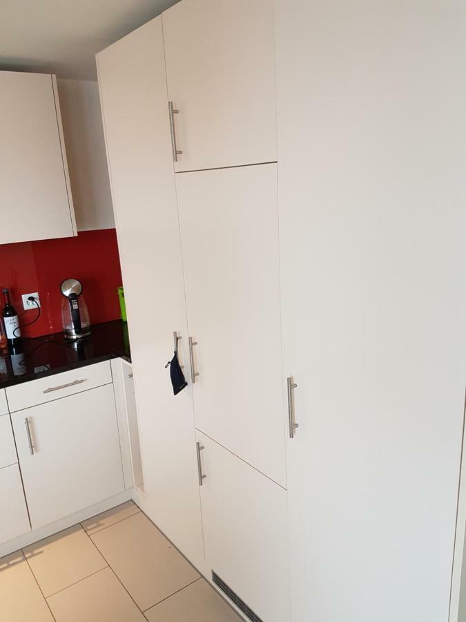 Zimmer In Penthouse-Wohnung Windisch Esterno foto